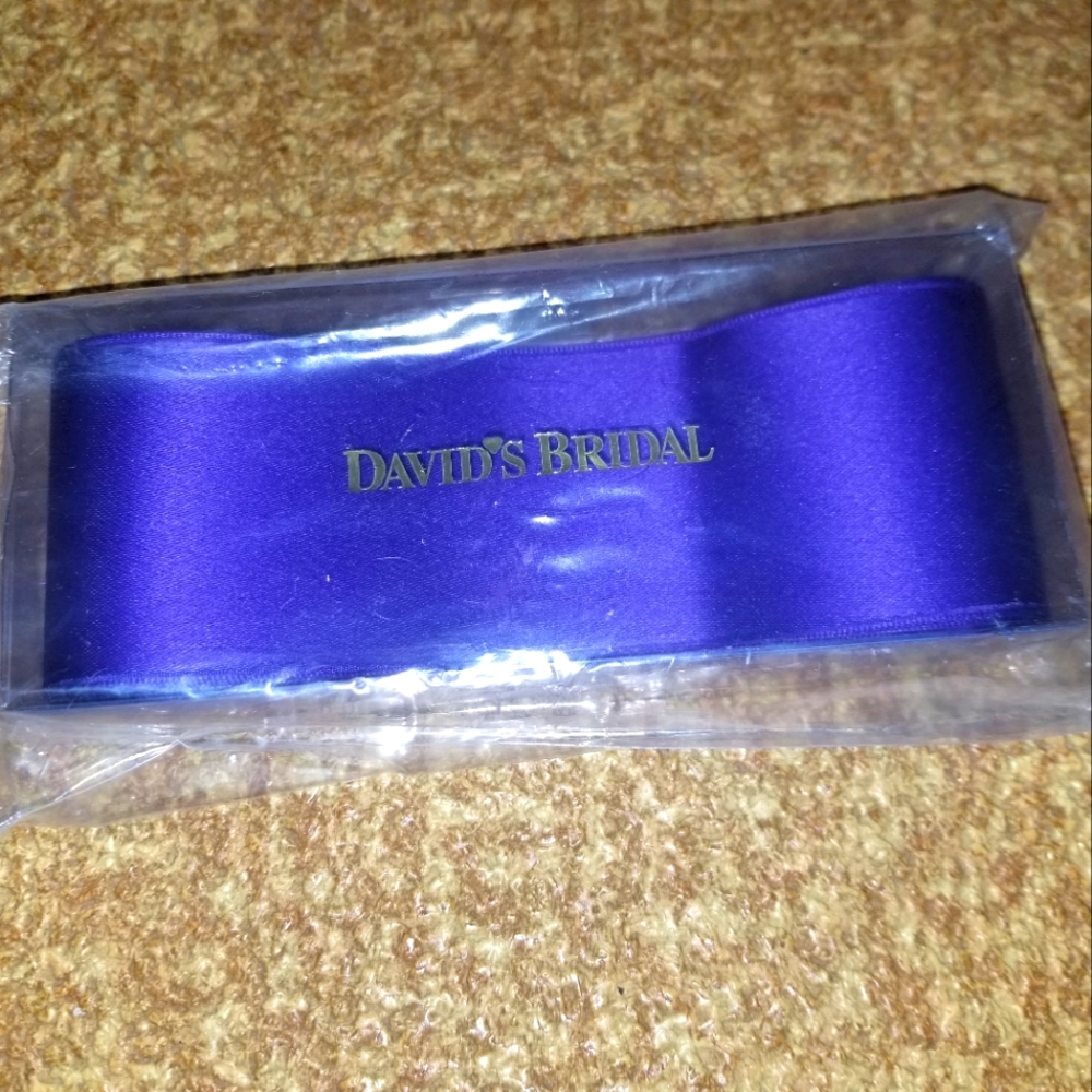 David's Bridal Ribbon Regency